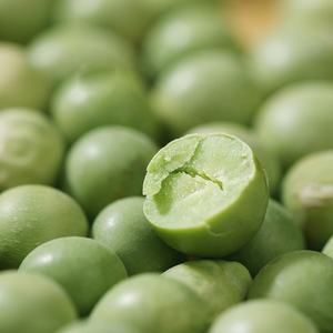 Venta al por mayor de aperitivos liofilizados para mascotas, judías verdes liofilizadas, aperitivos liofilizados para perros, comida para perros, verduras liofilizadas - Product Image 3