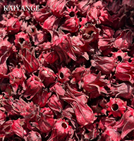 KAIYANGE Vente en gros de thé de roselle lyophilisé 100% naturel de haute qualité, thé de fleurs de hibiscus, thé de fleurs de roselle, thé santé
