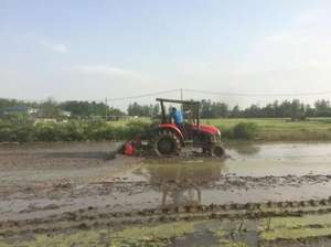 Cultivadoras Rotativas Profesionales de Alta Capacidad a Precio de Fábrica, Tractor Cultivador en Venta - Product Image 5