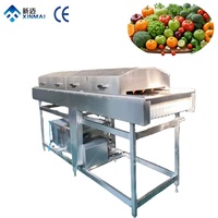 Fruit Parallel Borstelrolreiniger voor PlantSweet Aardappel/Uien/Walnoot/Wortel Borstelwasmachine Schrobmachine Reinigingsmachine