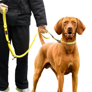 Grosir Tali Hewan Peliharaan Tali Kucing dengan Pelacak Hewan Peliharaan dan Tali Leher Anjing Kucing dengan Harga Bagus - Product Image 2