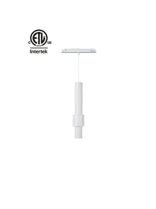 <span class=keywords><strong>Spot</strong></span> encastré sur <span class=keywords><strong>rail</strong></span> magnétique moderne LED DC48V 20, homologué ETL CE, finition <span class=keywords><strong>noir</strong></span> et blanc, 6W, intensité variable - Product Image 1