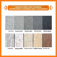 Carrelage Céramique Extérieur Mat à Faible Absorption d'Eau, Épaisseur 18mm, 300x600mm, Type Brique Réfractaire pour Pavage de Cour Extérieure