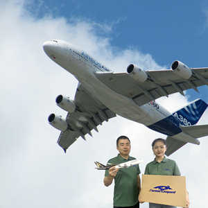 Ddp logistic amazon fba экспедитор грузов службы доставки из Китая в Нью-Йорк Майами Даллас Хьюстон Чикаго Мемфис США - Product Image 6