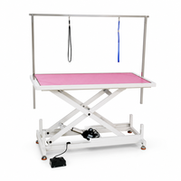 Table de toilettage pour animaux électrique hydraulique, réglable en hauteur, avec bras de toilettage, surface antidérapante et imperméable