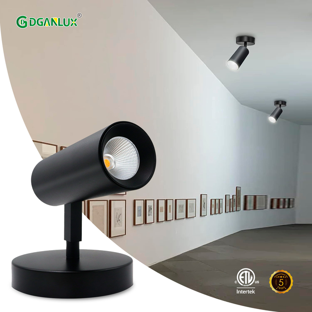 Modern Design Indoor COB LED Spotlight Track Light 20W 5CCT Adjustable 20-50 Degree Zoomable Dimmable Wall Mount