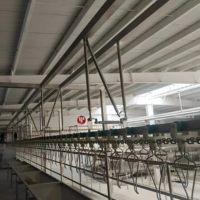 Équipement automatique d'abattage de poulet de bétail à échelle réduite pour l'abattage automatique du poulet