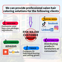 Tinte de color de cabello natural permanente profesional sin Peróxido de amoníaco y color de cabello sin amoníaco