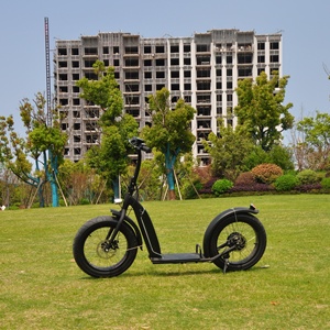 Mini Patinete Eléctrico Dualtron de Doble Motor Potente con Ruedas Grandes KCES001 - Product Image 4