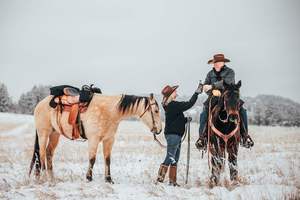 Muestra Gratuita de la Marca Jiayuan, Bolsa Trasera Expandible para Asiento con Bolsillo para Llavero y Soporte para Bocina, Modelo 526236 - Product Image 4