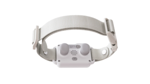 2025 New Design Style Elektronisches Hunde trainings halsband Automatisches Haustier Stop Barking Nylon Material Farbbild schirm-Trainings zubehör - Product Image 6