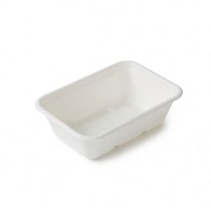 Plateaux rectangulaires jetables en pulpe de bagasse biodégradable pour sushis, pour restaurants - Product Image 3