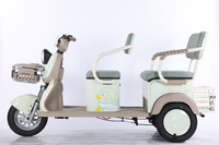 Triciclo Eléctrico de Carga de Alta Calidad, Scooter Eléctrico de 3 Ruedas y 600W, Popular en Venta