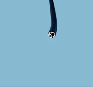 Réparation de rhino-laryngoscope ENF-VT2, qualité OEM, expédition dans le monde entier, nous facturons 30% des prix des fabricants/représentants des ventes - Product Image 4