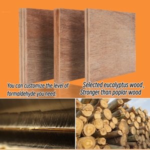 Madera Contrachapada de Eucalipto Malasio de 18 mm en Oferta, con Estándares de Emisión de Formaldehído E0 para Decoración de Hoteles - Product Image 4