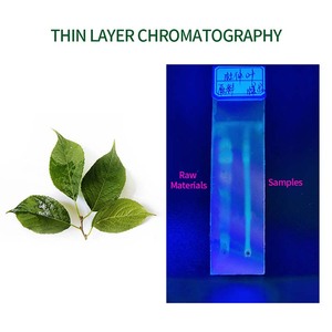 Nhà máy trực tiếp cao cấp chất lượng <span class=keywords><strong>100</strong></span>% tinh khiết tự nhiên cấp thực phẩm <span class=keywords><strong>eucommia</strong></span> ulmoides chiết xuất 98% chlorogenic Bột axit - Product Image 3