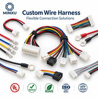 Fabricant de faisceaux de câbles OEM pour l'automobile, assemblage de câbles 16-22AWG à 2-8 broches, connecteur étanche pour systèmes de véhicules