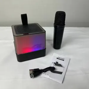 Haut-parleur de karaoké d'éclairage LED RVB Sexy Portable avec micro XM-69 haut-parleur Bluetooth USB AUX WiFi actif pour les fêtes alimenté par batterie