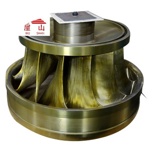 Mini-<span class=keywords><strong>turbine</strong></span> <span class=keywords><strong>hydraulique</strong></span> personnalisée Tego Kaplan Pelton Francis de 800 <span class=keywords><strong>kW</strong></span>, générateur d'énergie libre - Product Image 5