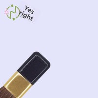 Nouveau pinceau de maquillage pour blush à joue unique, en poils de cheval, manche en plastique doré, petit outil de maquillage plat, vente en gros immédiate