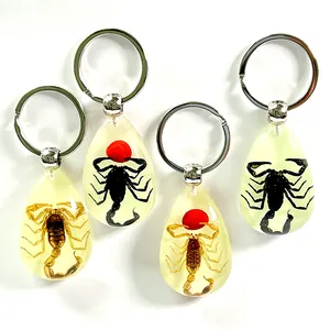 Wholesale High Quality Glowing Real Insect Keychain With Real Scorpion Keychain Resin For Men
