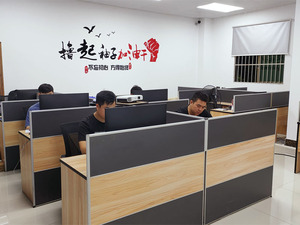 فرن تجفيف بالأشعة فوق البنفسجية بالهواء الساخن القسري مع تحكم ذكي دقيق لطلاء الإيبوكسي وألياف الكربون، 220 فولت/110 فولت مع ضمان لمدة عامين - Product Image 6