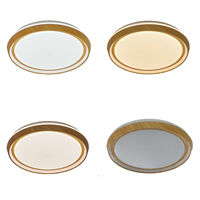 Plafonnier LED ultra-mince en acrylique à design floral moderne, intensité variable, en fer, pour chambre et salon (vente en gros)