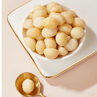 Wholesale Snacks Nut Snack for Lady Yummy Roasted Macadamia Nuts