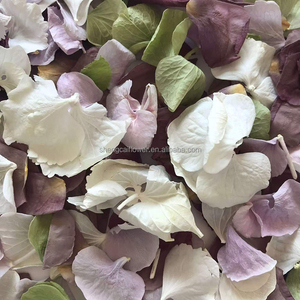 Splendidi <span class=keywords><strong>confetti</strong></span> combinati su misura di fiori di ortensie e petali di rosa fatti di fiori naturali secchi per il matrimonio e la festa - Product Image 3