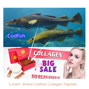 Bubuk Kolagen <span class=keywords><strong>Codfish</strong></span> <span class=keywords><strong>Collagen</strong></span> Peptida 30 Sachet Dalam Satu Kotak - Product Image 3