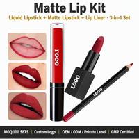 Ensemble de rouge à lèvres mat et crayon à lèvres 3-en-1 personnalisé OEM, haute pigmentation, imperméable, ensemble de gloss à lèvres, cosmétiques à marque privée