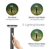 Capteur de mouvement solaire décoratif en acier inoxydable ip44, lampes de jardin pour pelouse, patio, cour, allée