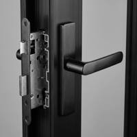 Porte française en PVC à double vitrage, profil mince, design à cadre noir mat, à panneaux divisés, lumière naturelle, pour jardin, patio, villa