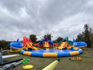 Tobogán de agua inflable de grado comercial de la mejor calidad <span class=keywords><strong>con</strong></span> piscina a la venta - Product Image 2