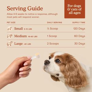 Probióticos en Polvo para Perros - Salud Digestiva y Vitaminas de Rápida Absorción, Suplementos Nutricionales Seguros - Product Image 6