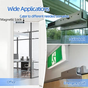 맞춤형 금색 전자 자물쇠 280kg (600파운드) LED 표시등 출입 통제 도어 상태 신호 피드백 - Product Image 4