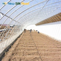 Serre solaire agricole à simple travée et double couche de style chinois, en acier galvanisé à chaud avec couverture en film plastique pour légumes et fruits