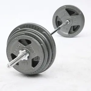 Weight Plates Cast Iron Standard Dumbbell Weight Plates Pounds Weight Lifting