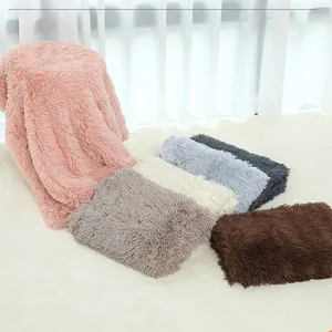 55*40cm all'ingrosso personalizzato Designer peluche inverno coreano pelliccia sintetica morbido copridivano qualità gatto pile cucciolo di lusso coperta per cani