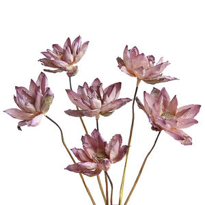 Fleurs séchées directement <span class=keywords><strong>de</strong></span> l'usine, fleurs <span class=keywords><strong>de</strong></span> lotus naturelles préservées, style zen chinois, décoration pour la maison, le spa, le bureau, les mariages, les hôtels, les festivals - Product Image 1