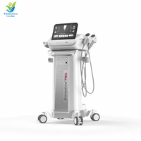Nouveauté Machine professionnelle pour le visage et le corps 2025 Lifting du visage Anti-rides Élimination des marques d'acné Analyseur de peau