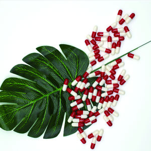 Capsules de gel vides hpmc, pièces, légumes - Product Image 3