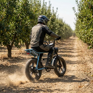 <span class=keywords><strong>Vélo</strong></span> <span class=keywords><strong>électrique</strong></span> tout-terrain robuste de style Scrambler avec freins à disque hydrauliques, idéal pour l'entretien des vergers et les allées - Product Image 6