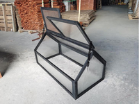Serre de jardin en bois, mini-serre de jardin, serre pour légumes et fleurs, serre de jardin