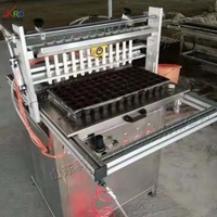 Semoir semi-automatique à aspiration par aiguille de haute précision amélioré pour tomates, poivrons, aubergines, fleurs et semis de tabac