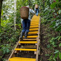 Marches d'escalier en FRP pour plantations tropicales, 25 mm, en fibre de verre, panneau antidérapant en FRP, sur mesure