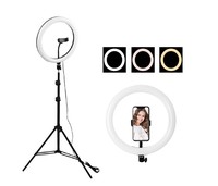 Anneau lumineux de beauté de 10 pouces avec trépied de 2,1 m, anneau lumineux pour selfie, maquillage, éclairage de remplissage, diffusion en direct, photographie de beauté