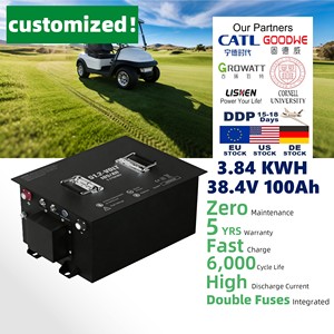 맞춤형 LiFePO4 38.4V 100Ah 3.84kWh 골프 카트 배터리 금속 쉘 IP65 방수 6000 사이클 48-64km 주행거리 5년 보증 - Product Image 1