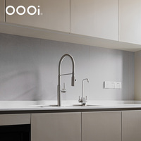 Robinet d'évier de cuisine de luxe en acier inoxydable nickel brossé Double sortie de pulvérisateur robinet de lavabo à tirette