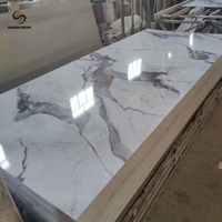 Feuille de PVC UV de luxe avec design marbré 3D pour la décoration murale de villas haut de gamme